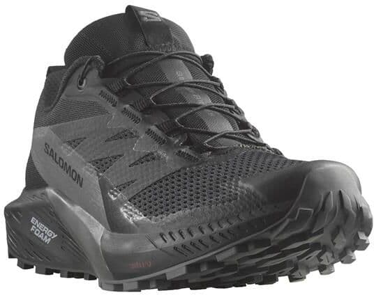 Salomon Sense Ride 5 GTX Womens, Black / Magnet 42