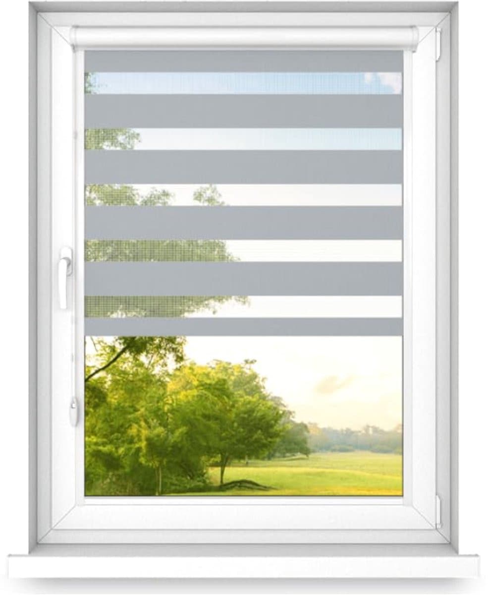 time4blinds Dubbele Zebra-Rolgordijnen Grijs - Plakmontage zonder boren - B/D/H: 100 x 60 cm - Links