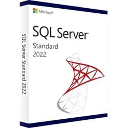 Microsoft SQL Server 2022 Standard | 24 Core Lizenz | Core-basierte Datenbankplattform für Unternehmen