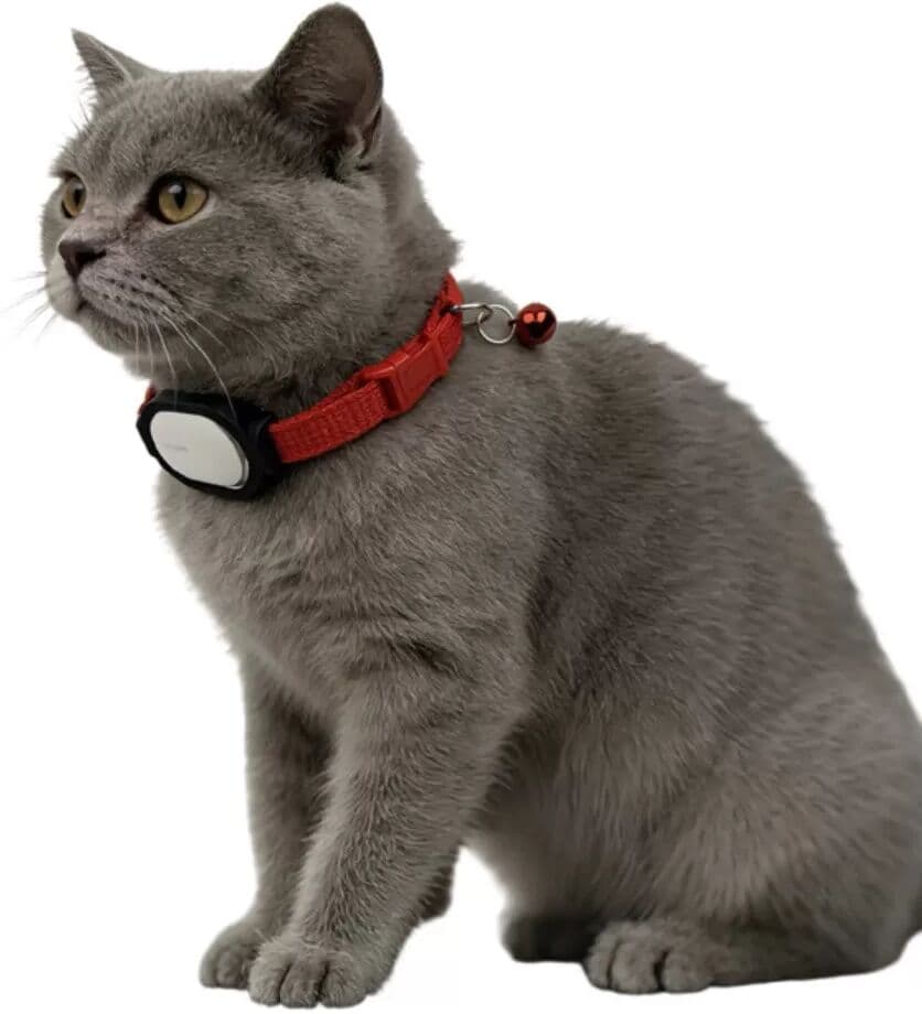 INF Support de collier pour traceur compatible avec Xiaomi Tag - Boîtier ouvert ABS noir pour colliers 10mm
