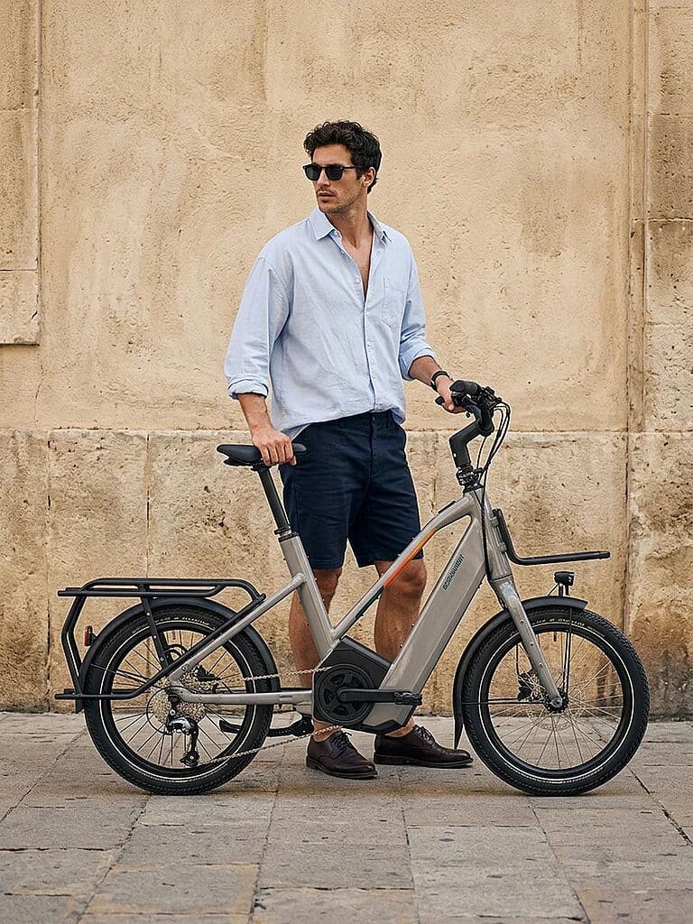 Bergamont E-Urbanbike Hans-E 20'' grau B