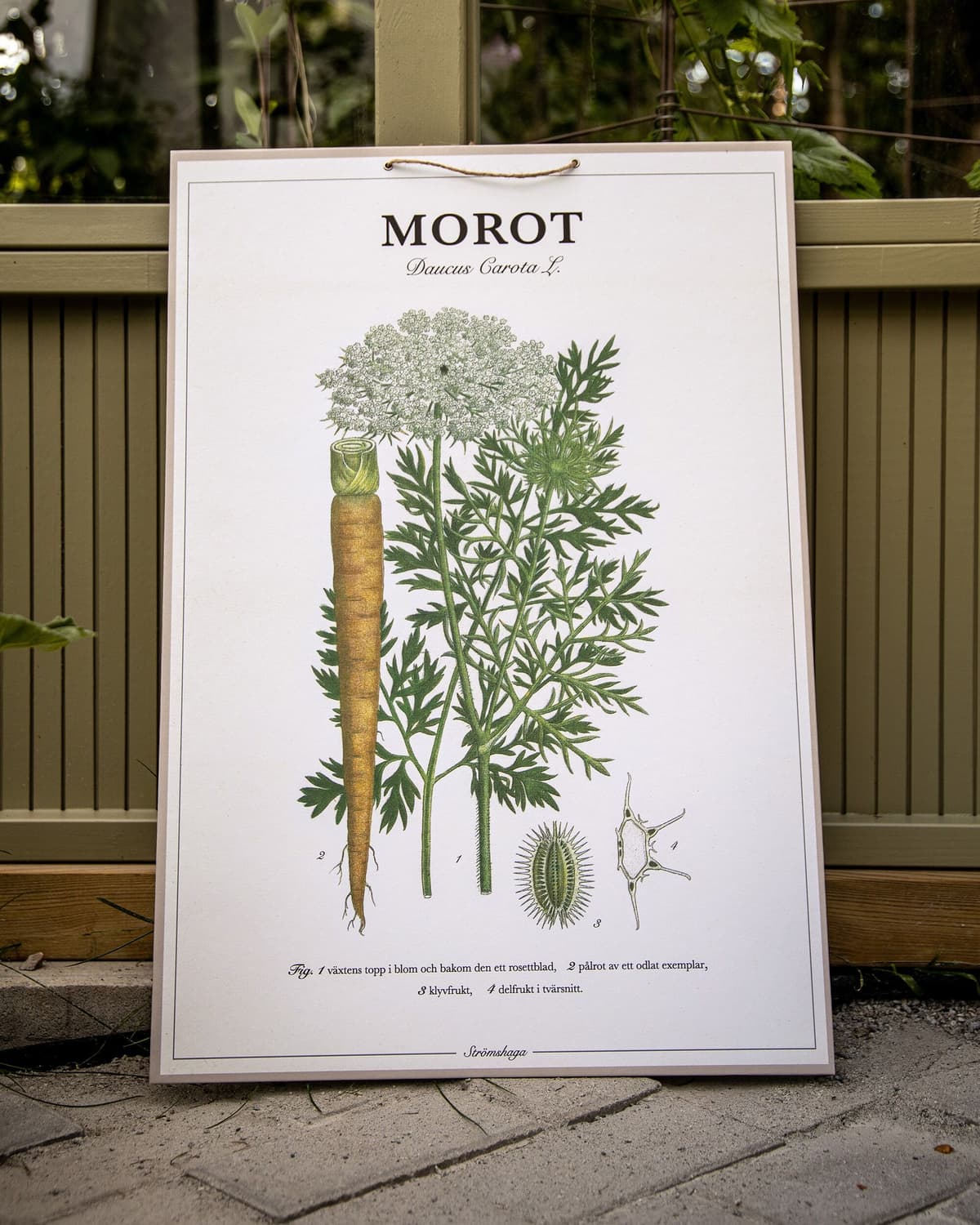 Strömshaga Skolplansch Morot