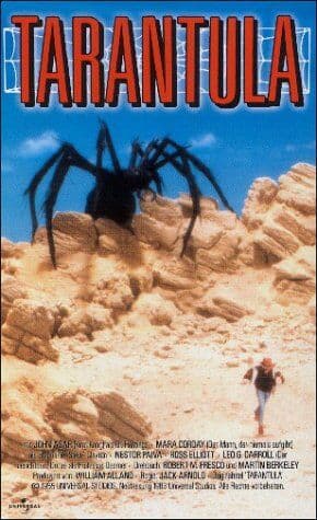 Jack Arnold - Tarantula [VHS] - Preis vom 19.10.2026 19:33:35 h
