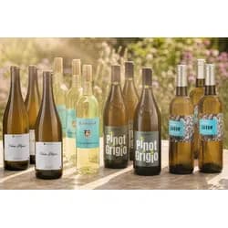 Sommerfrische 12 Flaschen Weisswein, Bio Probierpakete