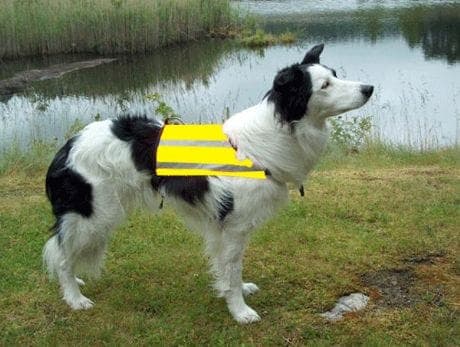 Breeders refleks dekken S