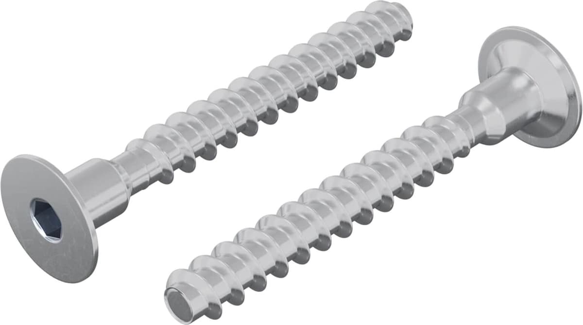 vidaXL Vis 2 pc Zincé 5 x 40 mm Fer