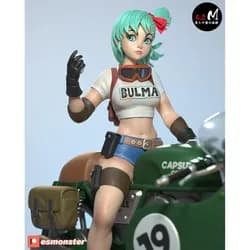Bulma P1 | ESMonster 1:12 sfw