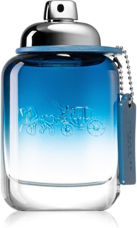 Coach Blue Eau de Toilette für Herren 60 ml