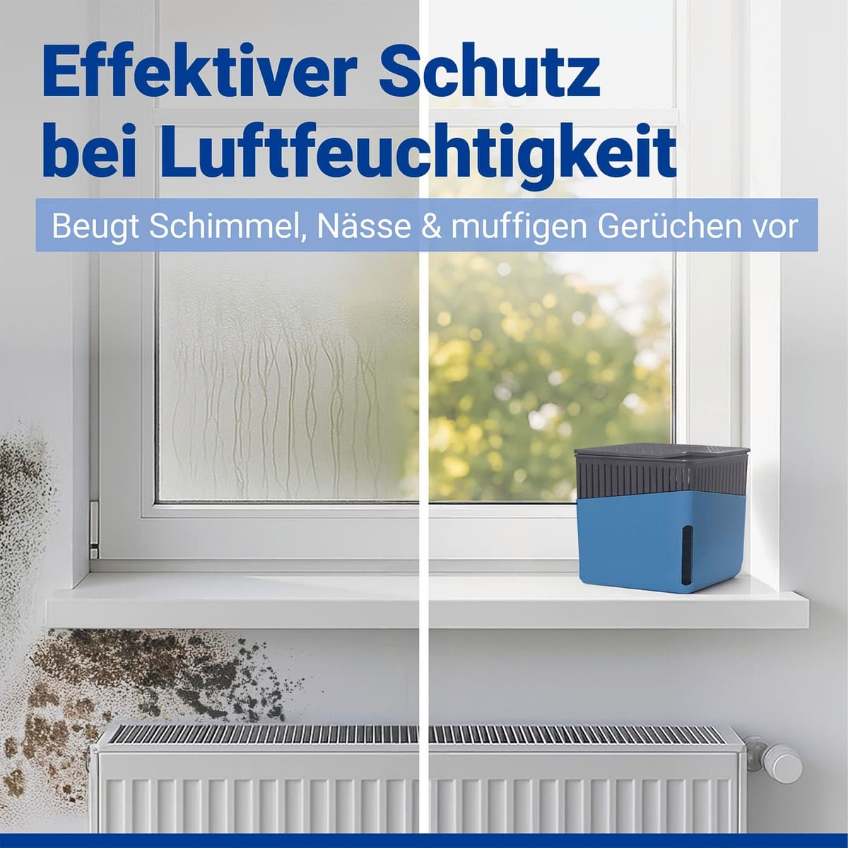 Luftentfeuchter WENKO "Cube", blau, B:16,5cm H:15,7cm T:16,5cm, Luftentfeuchter, Luftentfeuchter, 1000 g