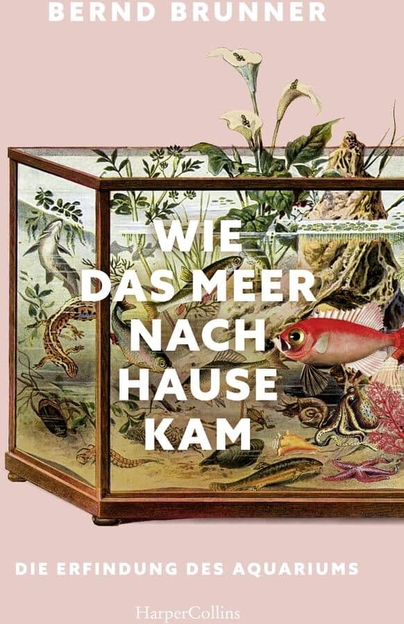 Bernd Brunner - Wie das Meer nach Hause kam. Die Erfindung des Aquariums: AKTUALISIERTE NEUAUSGABE des Kulturgeschichts-Klassikers Mit über 100 Abbildungen TikTok-Trend Aquaristik Süß- und Meerwasserfische - Preis vom 01.10.2026 17:08:56 h