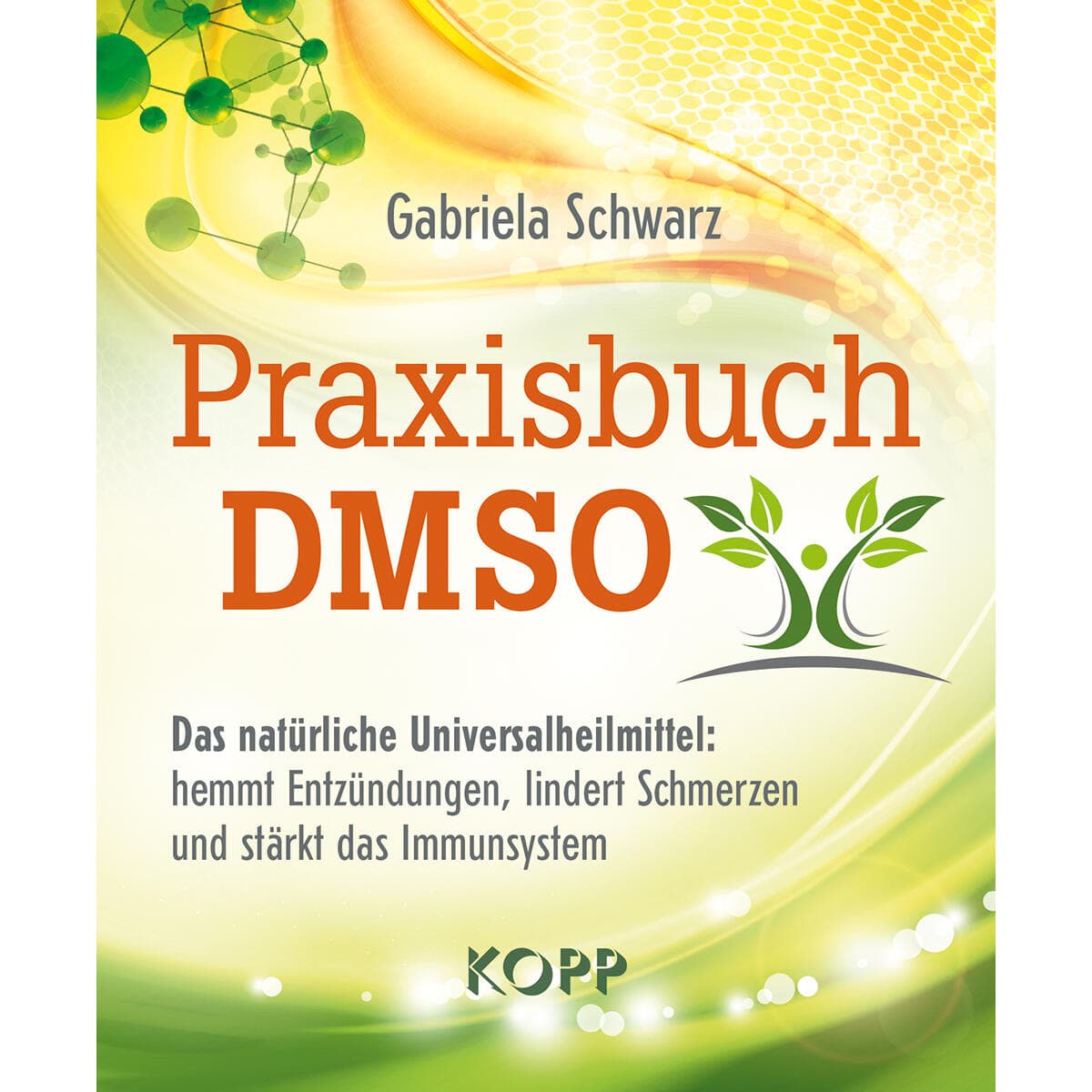 Praxisbuch DMSO
