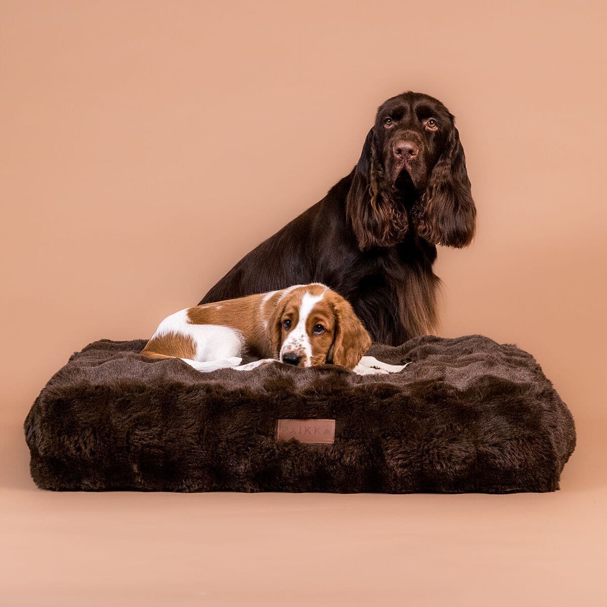 PAIKKA Lounge Ortopedisk Hundeseng Brun