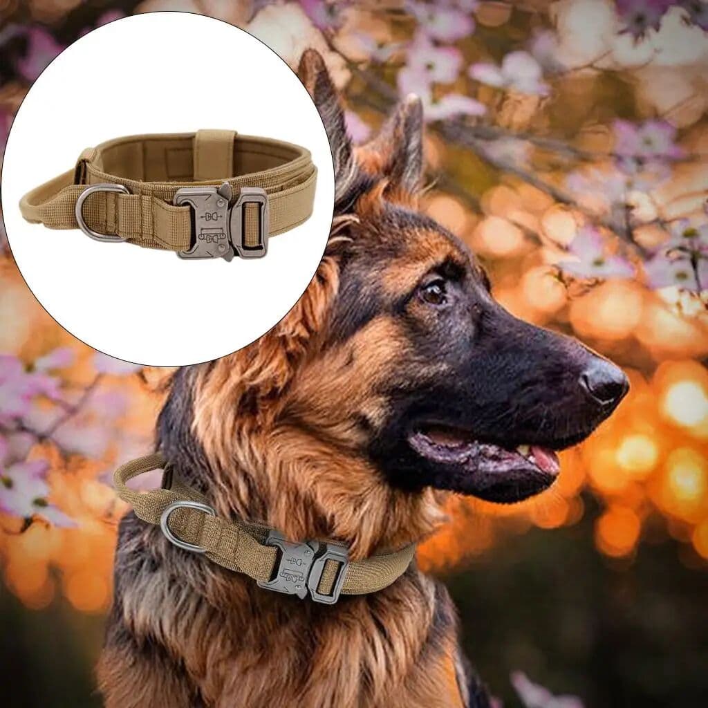 NONE Breathable Nylon Dog Collar Outdoor Training Leash Kit Pet Accessories for Medium and Large Breed Dogs