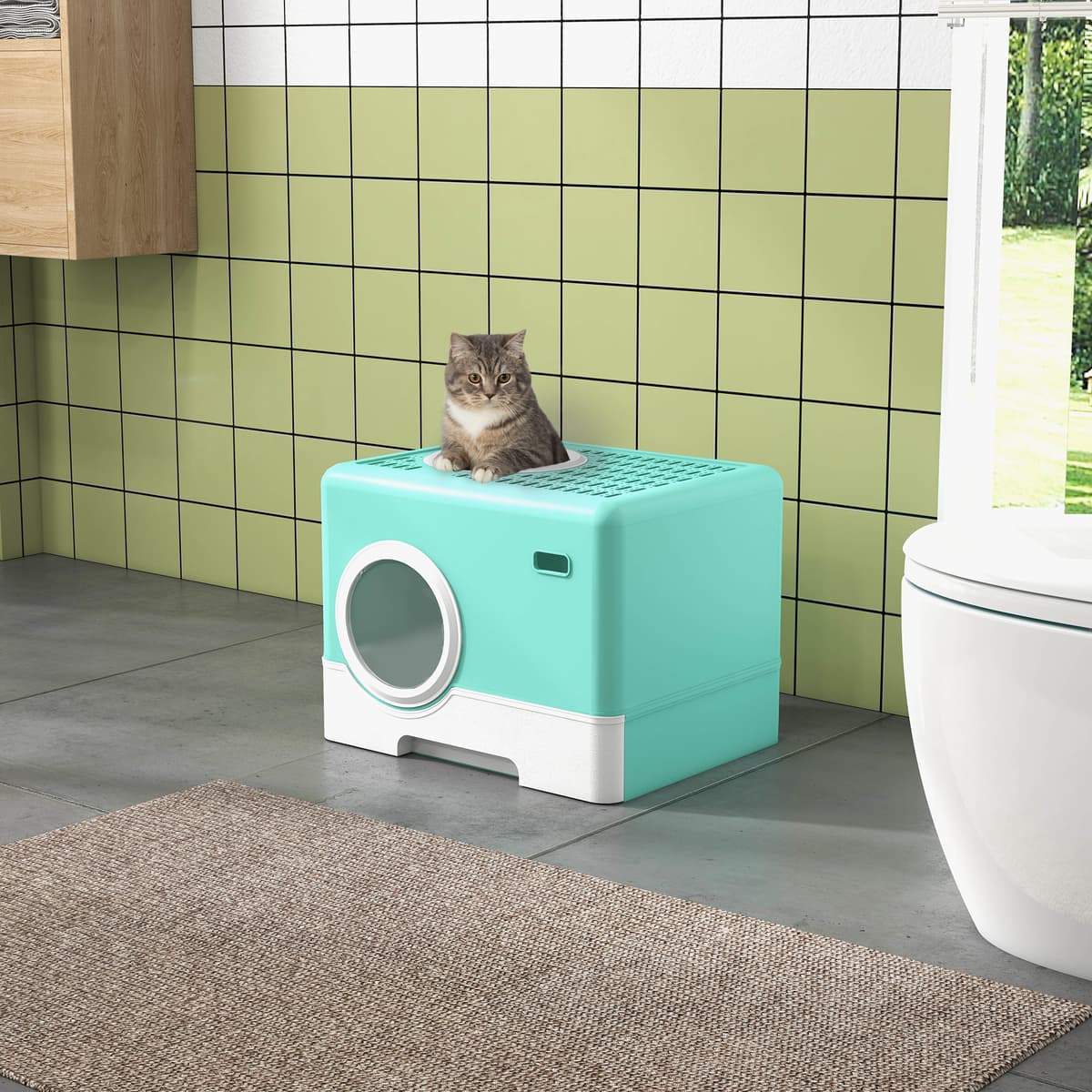 Pawhut Lettiera per Gatti con Coperchio e Paletta, Doppio Ingresso e Vassoio Estraibile, 52x41x38.5 cm, Verde   Aosom Italy
