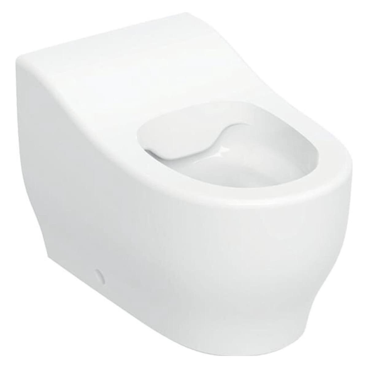 Geberit Bambini Stand WC für Kleinkinder, Tiefspüler, Rimfree, Höhe:24cm (502.965.00.1)