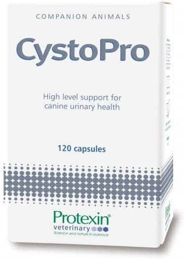 Protexin Cystopro 120 tabl