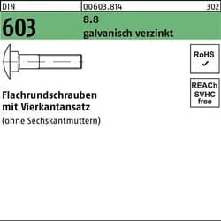 Flachrundschraube DIN 603 Vierkantansatz M6x60 8.8 galv.verz. 200St.