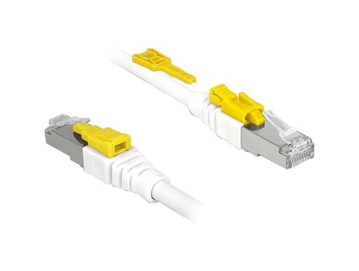 Delock Kabel RJ45 Secure Cat.6A 0,5 m