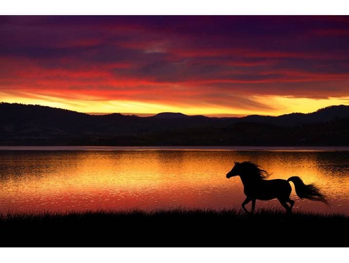 Fototapete PAPERMOON Pferd in landschaft , bunt, B:3m L:2,23m, Vlies, Tapeten, Fototapete