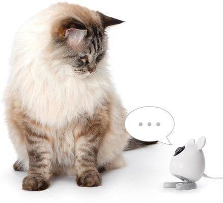 Catit - PIXI Smart Camera 7x12cm