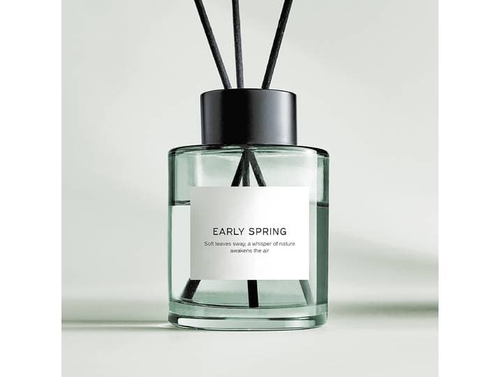 Parfum ambiance PURE POETRY EARLY SPRING Vert/Couleur sauge Polyester 6 x 20 x 6cm