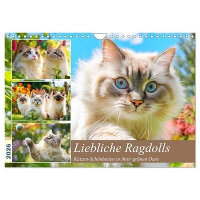 Liebliche Ragdolls. Katzen-Schönheiten in ihrer grünen Oase (Wandkalender 2026 DIN A4 quer), CALVENDO Monatskalender