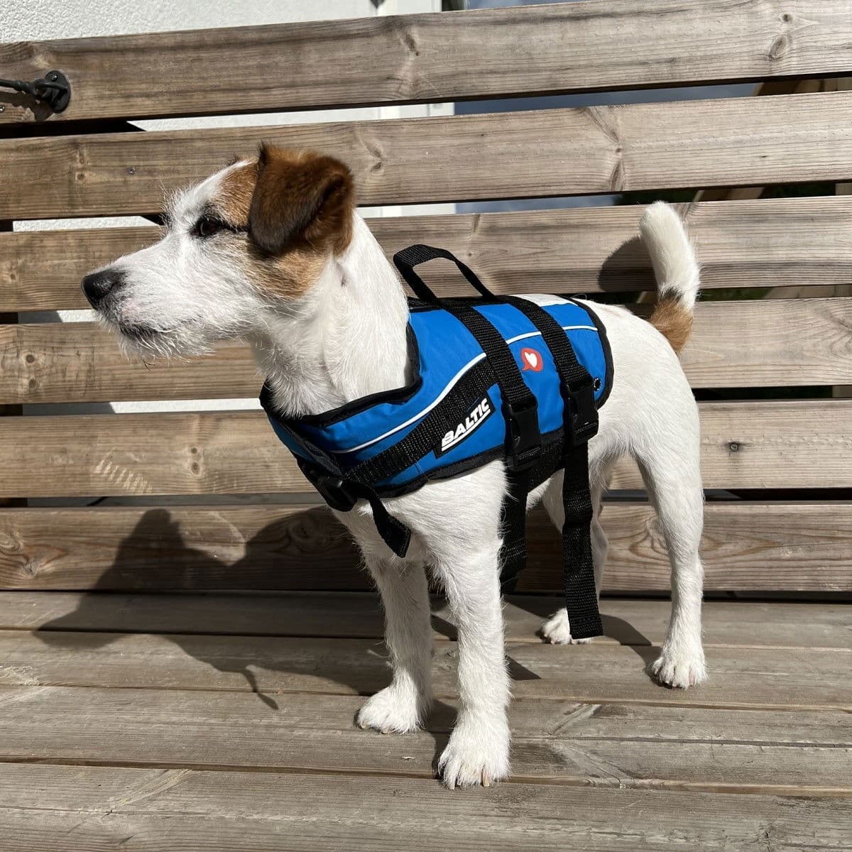 Baltic Vetzoo Flytevest Til Hund Blå