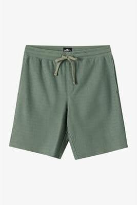 O'Neill s Bavaro Solid 19"" Shorts in Sage, Size XL, Polyester"