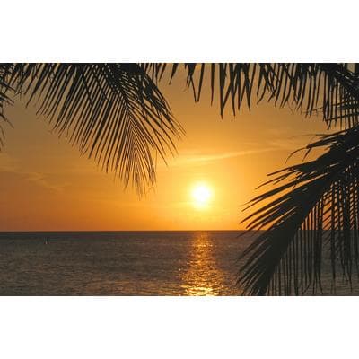 Fototapete PAPERMOON "SONNENUNTERGANG-PALMEN STRAND MEER SEE OZEAN KARIBIK", bunt, B:2m L:1,49m, Vlies, Tapeten