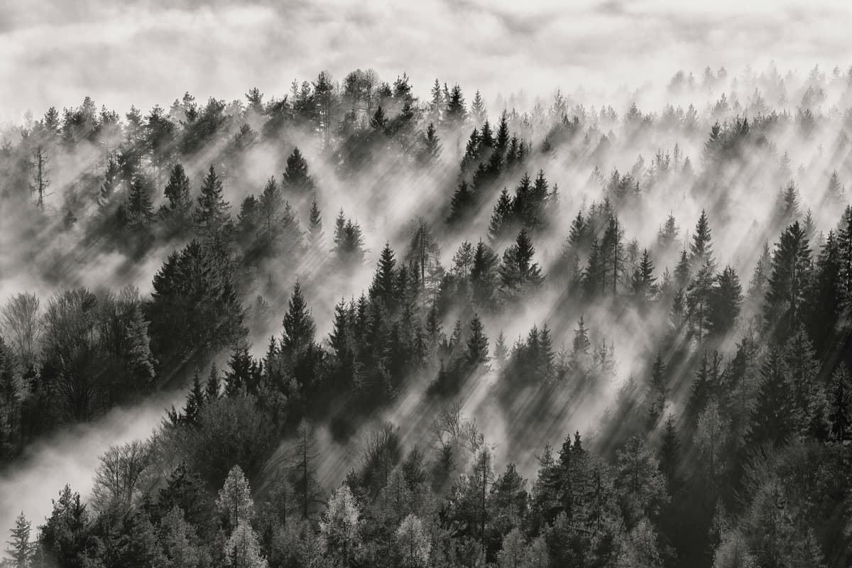 Fototapete PAPERMOON "Photo-Art DAVORIN BALOH, SUNDANCE NR1", bunt, B:2,5m L:1,86m, Vlies, Tapeten, Fototapete