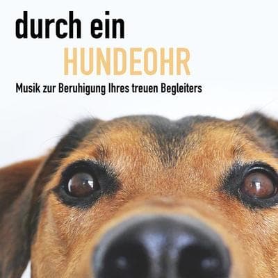 Durch ein Hundeohr - Entspannungsmusik für Hunde - Regina Baldoni,Joshua Cranston, Audio, 4057664427755