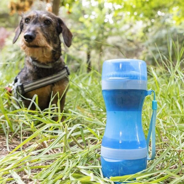Botella con Depósito de Agua y Comida para Mascotas 2 en 1 Pettap - INNOVAGOODS