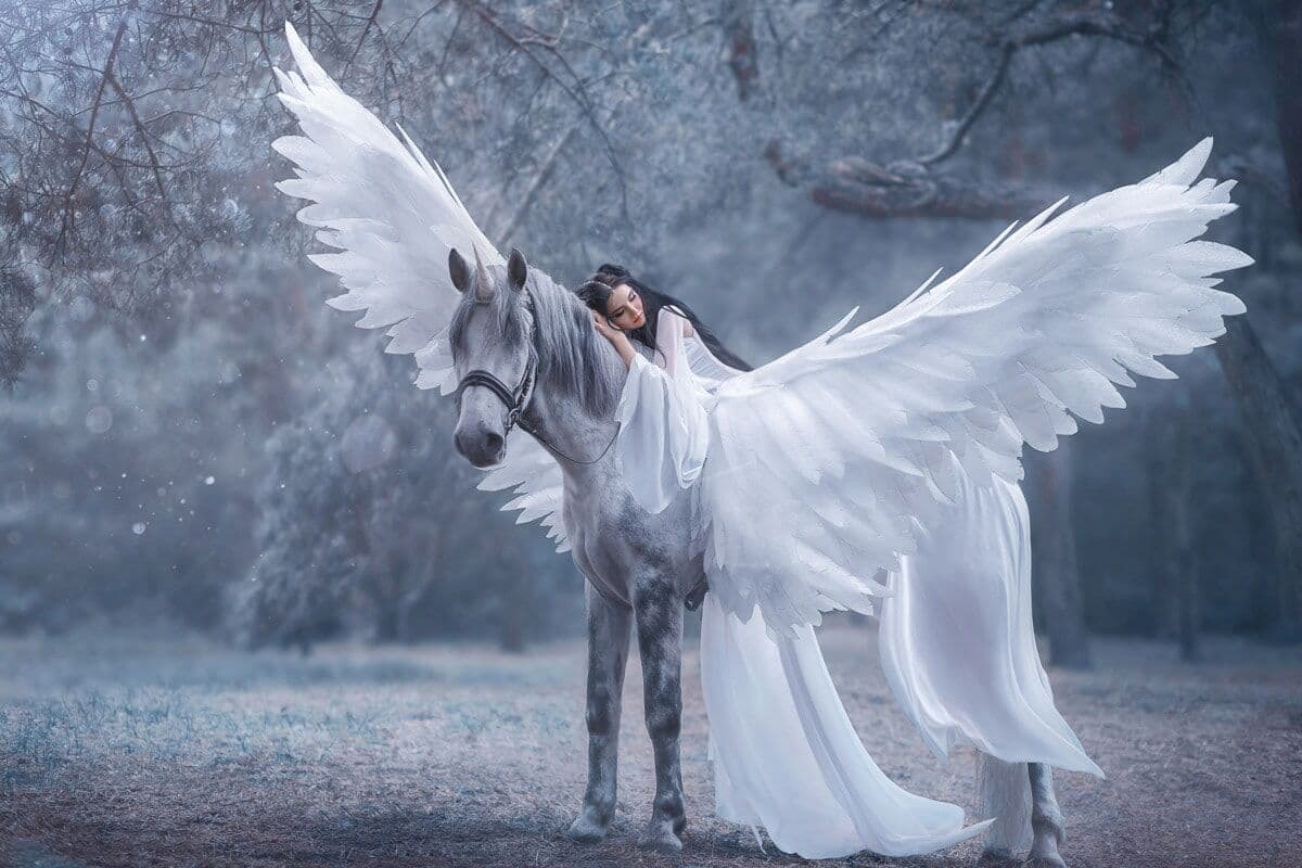 Fototapete PAPERMOON "Frau auf Pegasus", bunt, B:2,5m L:1,86m, Vlies, Tapeten, Fototapete