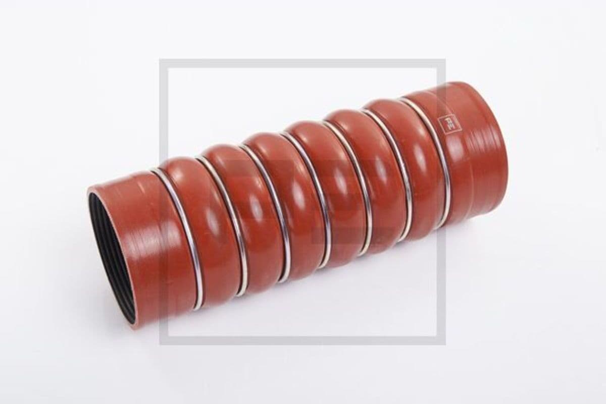 Peters Tubo flessibile dell'aria di carica 030.075-00A