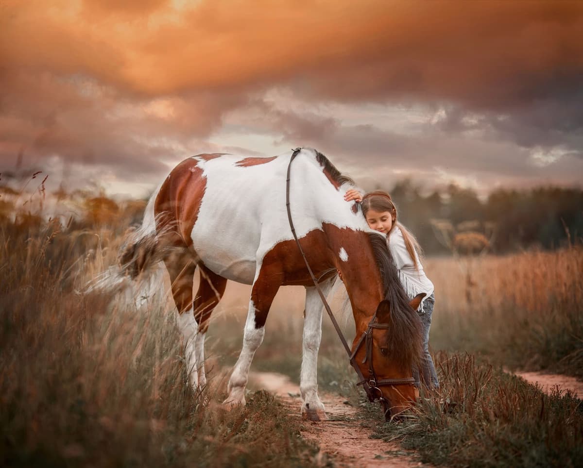 Fototapete PAPERMOON "PINTO PONY-PFERD MÄDCHEN SCHECKE TIER MINI INDIAN", bunt, B:1,5m L:1,11m, Vlies, Tapeten, Fototapete