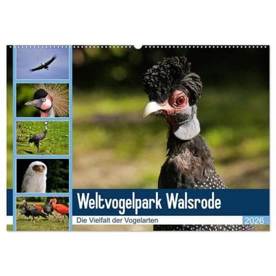 Weltvogelpark Walsrode - Die Vielfalt der Vogelarten (Wandkalender 2026 DIN A2 quer), CALVENDO Monatskalender