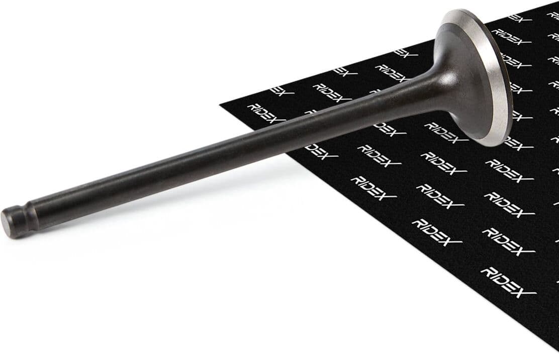 RIDEX 1270O0048 Exhaust valve