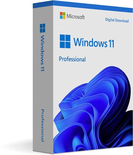 Microsoft Windows 11 Professionnel