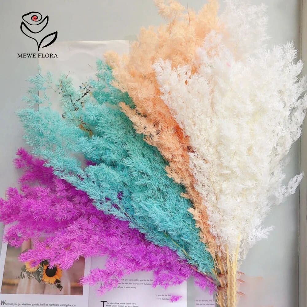 NONE 100g Dried Eternal Penglai Pine Flower for Wedding Table Living Room Party Decoration Home Decor Accessories Handmade DIY Craft