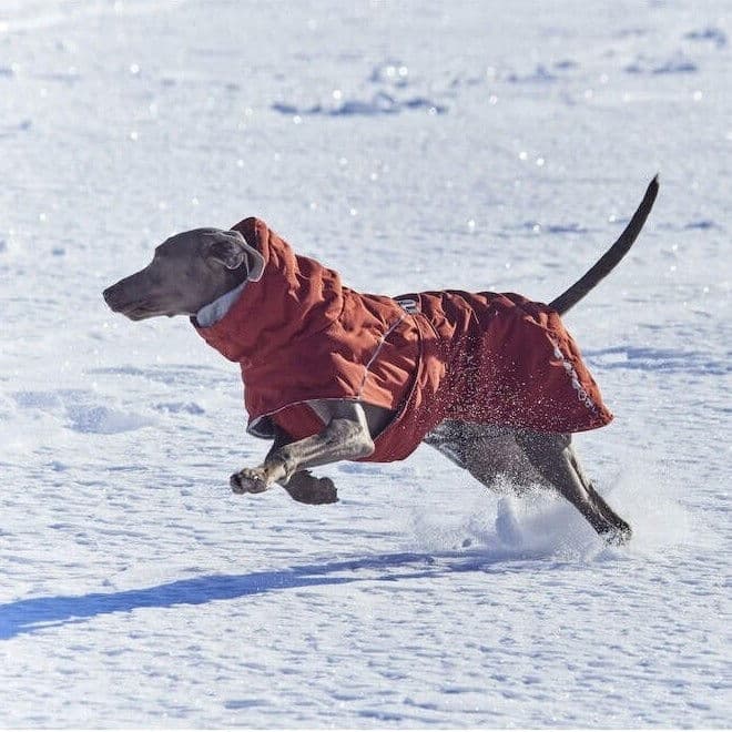Hurtta Extreme Warmer Iii Hundjacka Ljusbrun 65