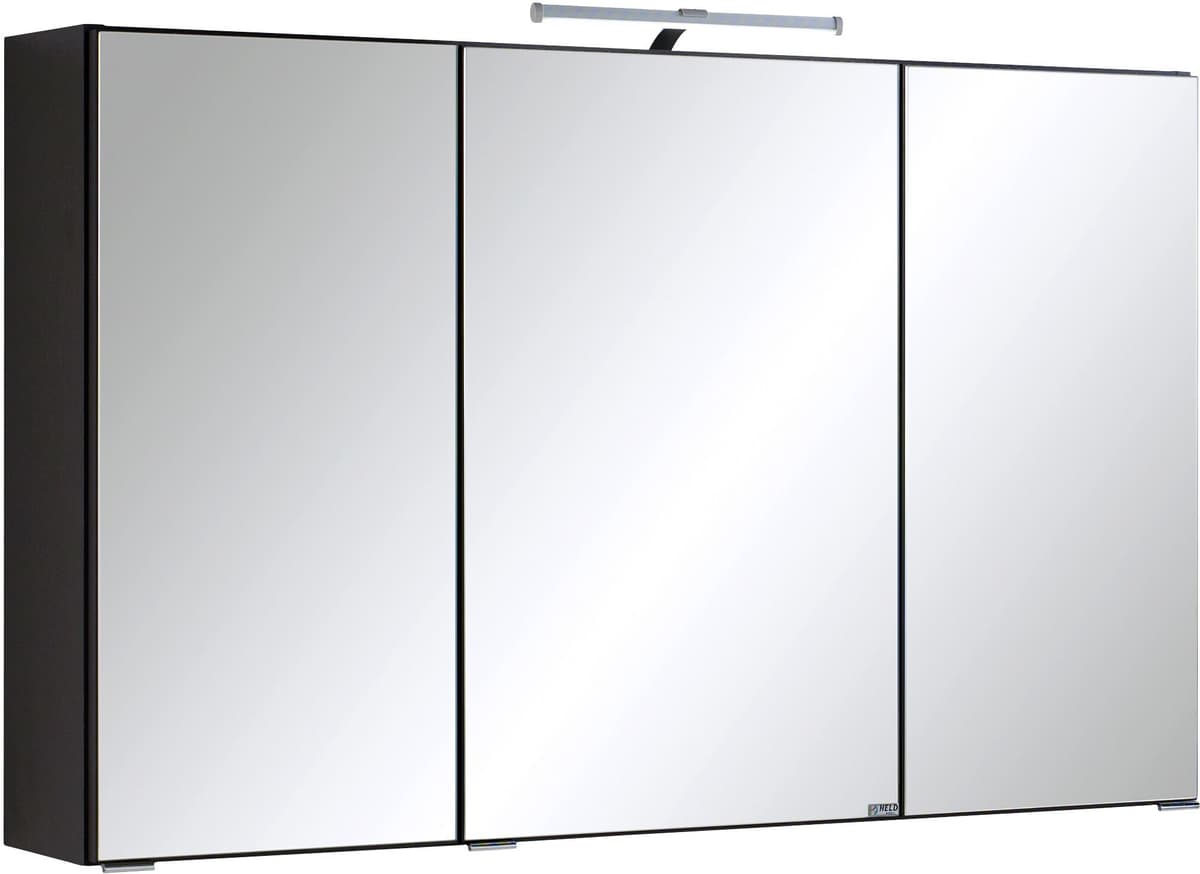 Spiegelschrank WELLTIME "Texas", grau (anthrazit), B:100cm H:66cm T:20cm, Holzwerkstoff, Schränke, Spiegelschrank, Breite 100 cm, mit LED-Aufbauleuchte