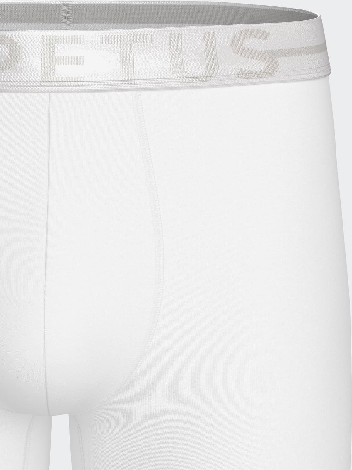 IMPETUS Boxer longo de homem Cotton Stretch BRANCO (L)