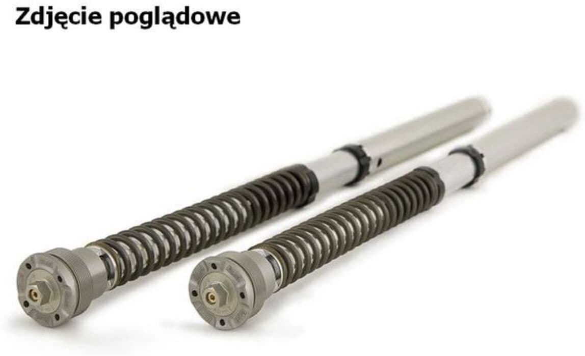 Amortecedor de choque OHLINS OH FGK 205