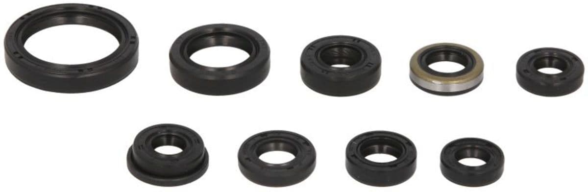 Conjunto de vedantes do óleo do motor WINDEROSA W822319