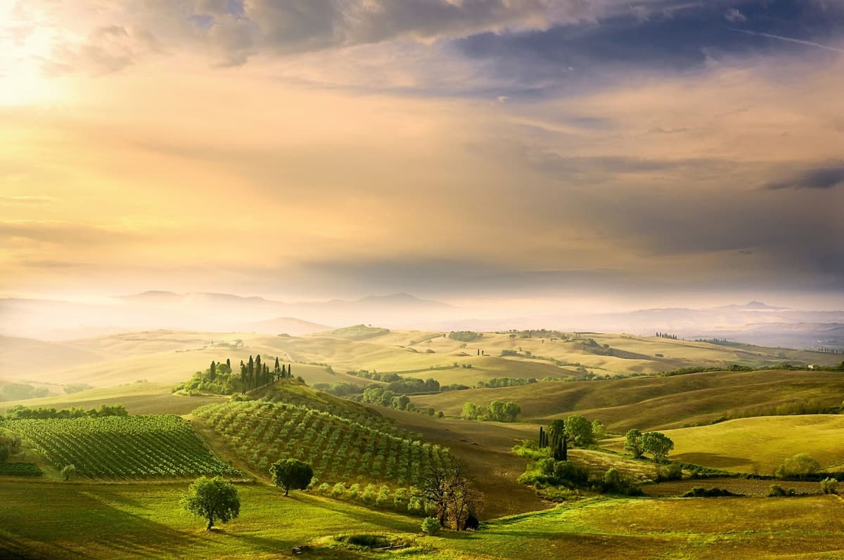 Fototapete PAPERMOON "Photo-Art ARNAUD BRATKOVIC, PODERE BELVEDERE'S SUNRISE", bunt, B:5m L:2,8m, Vlies, Tapeten, Fototapete