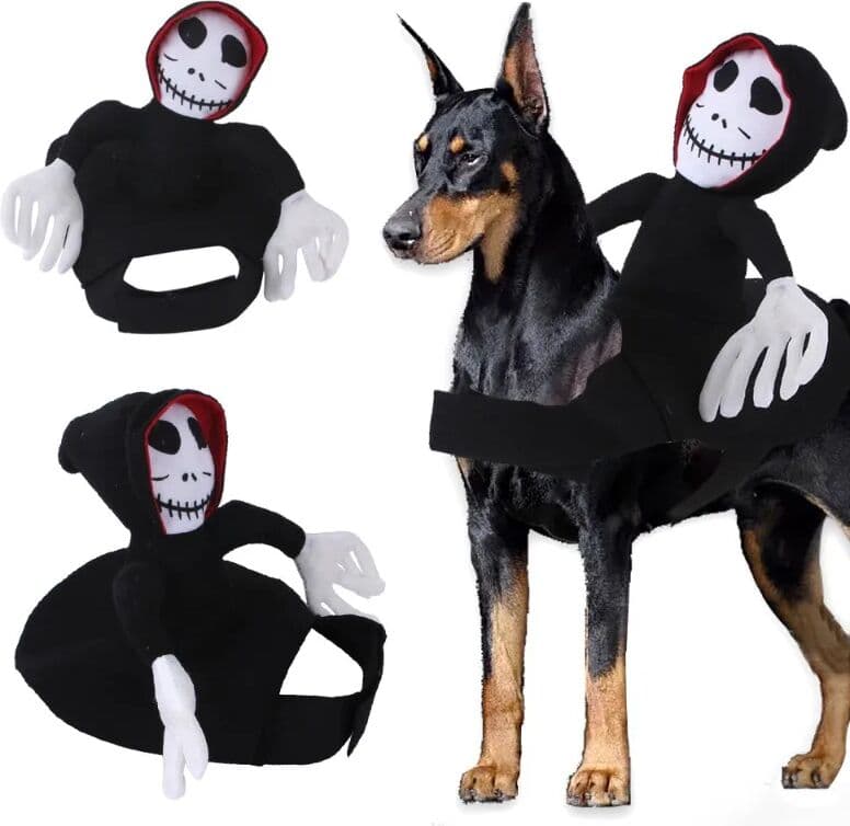 NONE Halloween Dog Cosplay Costume Riding Horse Funny Pet Dress Up Outfit Clothes For Cats Dogs