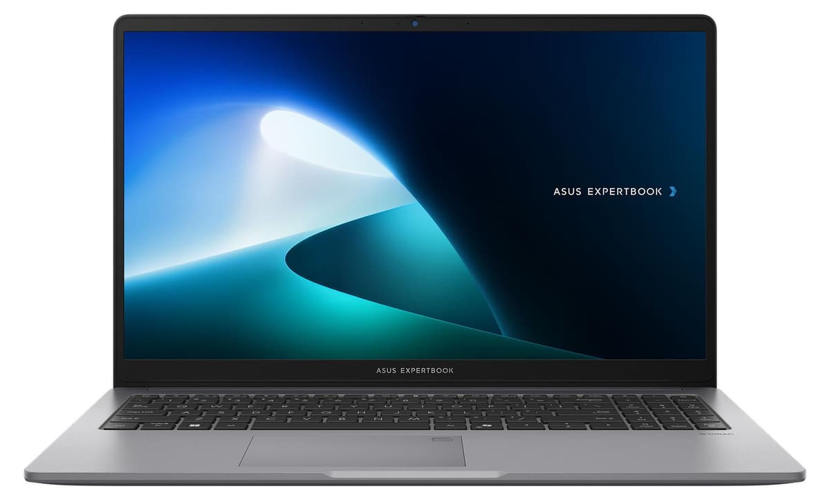 ASUS ExpertBook PM1 (Misty Grey, 15,6" Full-HD, AMD Ryzen 7 170, 64 GB RAM, 500 GB SSD) mit Windows 11 Pro & Office 2024 Pro