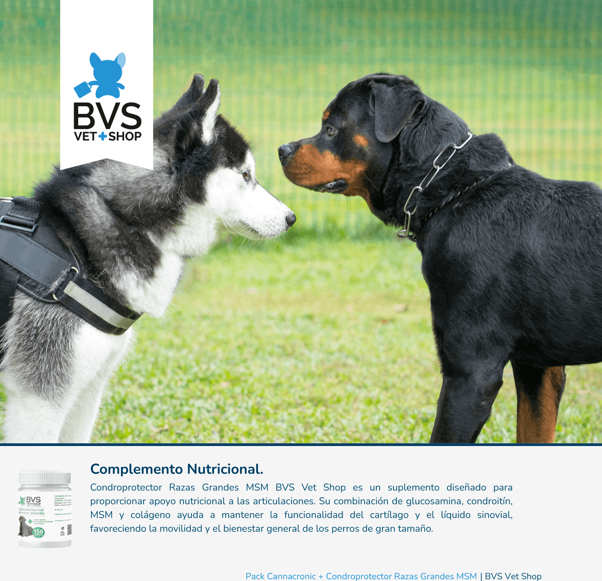 BVS Vet Shop Pack Cannacronic + Condroprotector Razas Grandes MSM Barakaldo Vet Shop