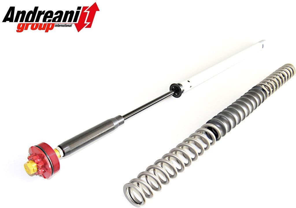 Kit Cartuccia Forcella Aria Andreani Suzuki Rm-Z 450 2015-2016 (Showa 49)