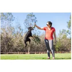 Chuckit! Chuckit sniff fetch balls md canister 4pk (Ballspielzeug Hund), Hundespielzeug
